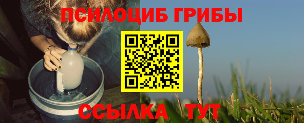 Галлюциногенные грибы MAGIC MUSHROOMS  Вход с VPN  купить наркоту  Ставрополь 